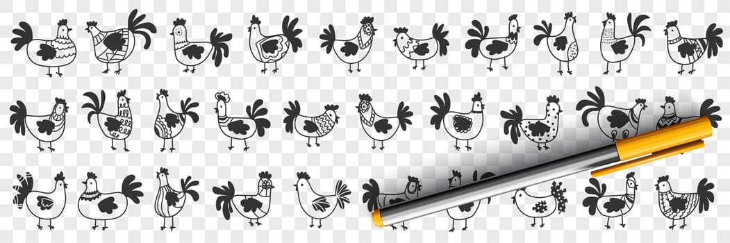 Hens and roosters doodle set. Collection of hand drawn dark silhouettes of farm chickens hens and roosters in rows for agriculture on farmlands isolated on transparent background