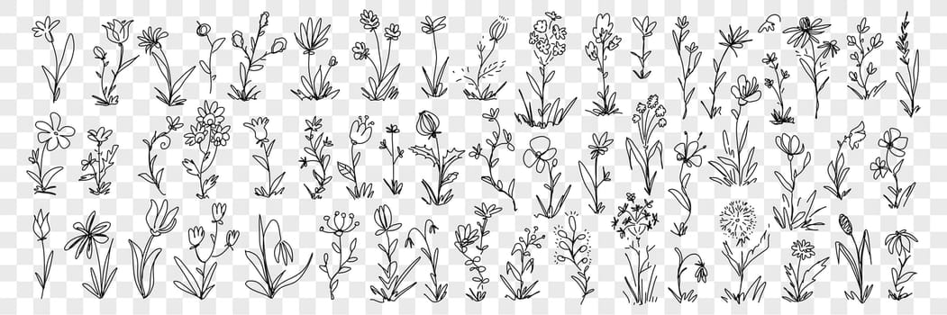 Blooming flowers and floral decoration pattern doodle set. Collection of hand drawn blossom flowers in row and elegant floral beautiful decoration patterns of nature isolated on transparent background