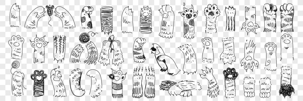 Animal paws with claws doodle set. Collection of hand drawn paws of cats and dogs of various shape with claws trying to catch mouse and playing isolated on transparent background in rows