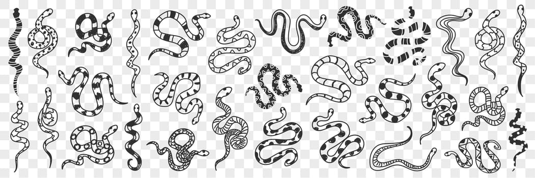 Various snakes of different patterns doodle set. Collection of hand drawn wild snakes cobra python wriggling on ground ready to bite isolated on transparent background