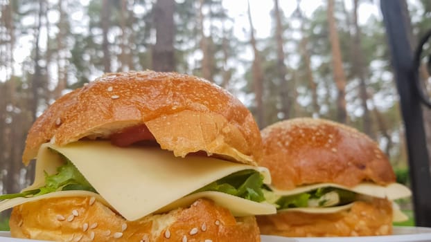 Close-up of two large DIY hamburgers in the park on a barbecue, rest and cooking on a picnic in the summer, food, delicious, bright colors. Unhealthy food concept. Fast food