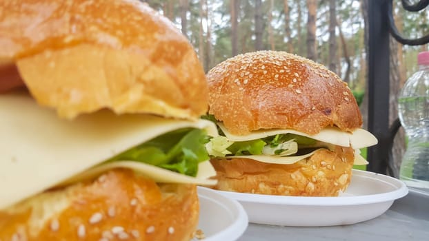 Close-up of two large DIY hamburgers in the park on a barbecue, rest and cooking on a picnic in the summer, food, delicious, bright colors. Unhealthy food concept. Fast food