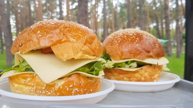 Close-up of two large DIY hamburgers in the park on a barbecue, rest and cooking on a picnic in the summer, food, delicious, bright colors. Unhealthy food concept. Fast food