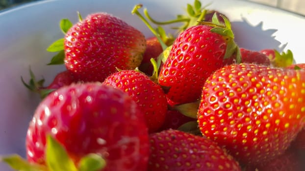 Fresh juicy ripe tasty organic strawberries in an old metal bowl outdoors on a sunny summer day. Strawberry red fresh berries and sweet juicy fruit