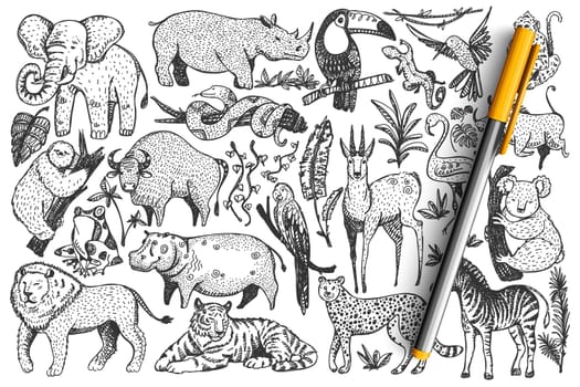 Animals doodle set. Collection of funny hand drawn cute wild african safari mammals isolated on white background. Illustration of leopard lion snakes monkey zebra giraffe elephant for kids.