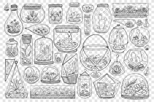 Jars for growing cactus doodle set. Collection of hand drawn glass jars and balls for keeping and growing plants cactus and japanese gardens isolated on transparent background