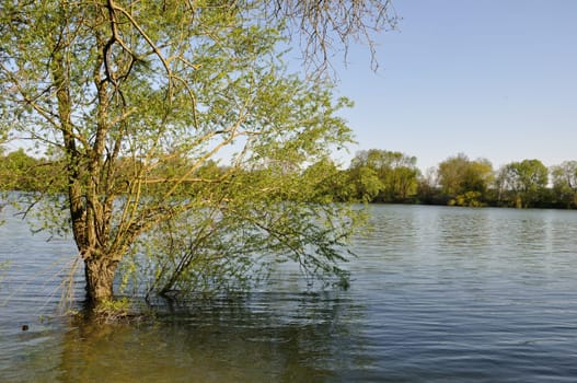 Banks of the Seine at Elbeuf in Normandy