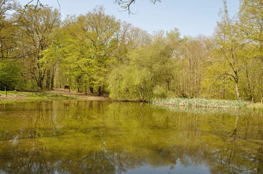 Pond in the Communal forest of Saint-Pierre-Lès-Elbeuf