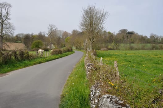 A road in Normandy contryside