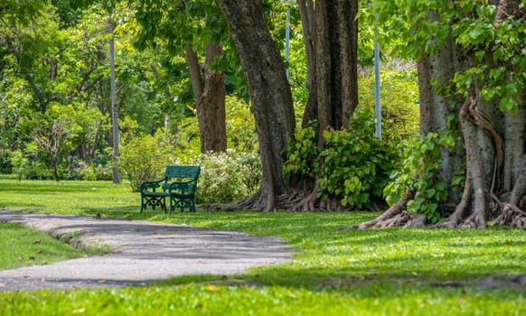 Walkway with green grass in park with metal bench