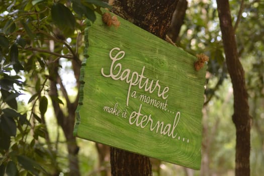 Capture a moment make it eternal sign detail