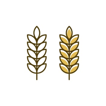 Agriculture wheat rice vector icon design template