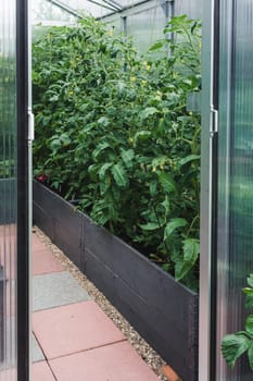 Greenhouse with extra thick poycarbonate panels for insulation in a garden