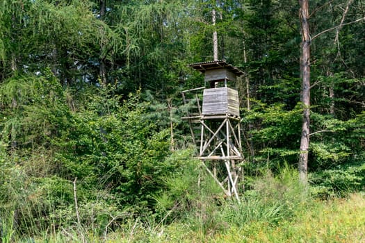 Hunter's high seat on a mountain slope in summer with pine and deciduous trees
