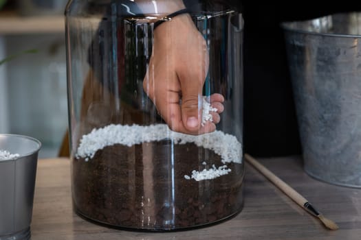 manufacturing a terrarium with plants