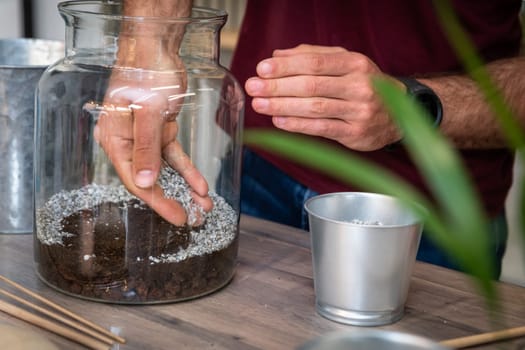 manufacturing a terrarium with plants