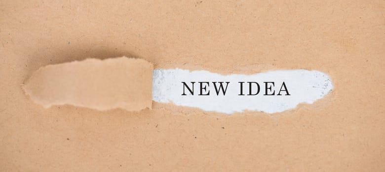 The words New Ideas standing on a white background, ripped textured paper