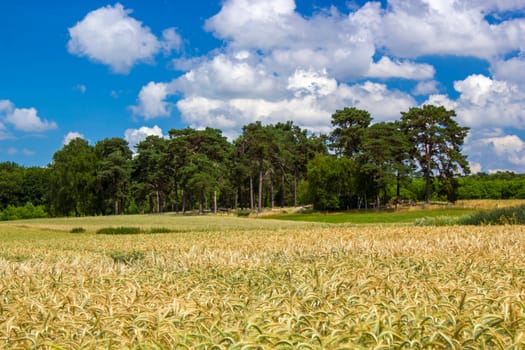 German countryside landscape, Lower Rhine Region, Germany