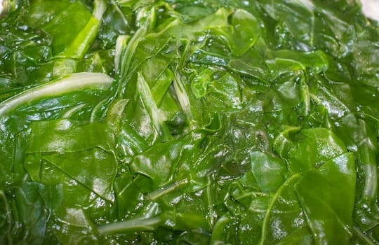 Boiled spinach on colander. Selective focus