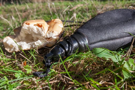 Wineskin or bota bag and bread over green grass. Traditional Spanish liquid receptacle