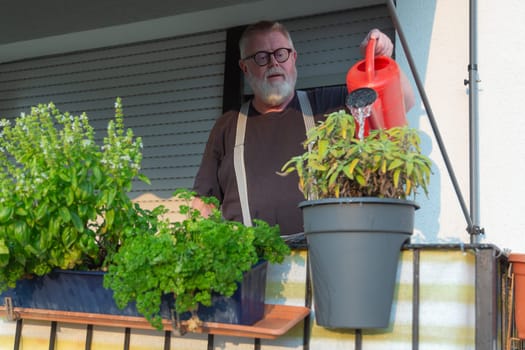 Man watering herbs on the balcony on a sunny day