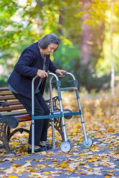Woman with walker walking in autumn park
