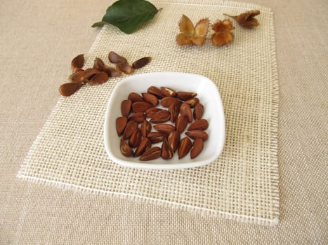 Shelled beech nuts in a small bowl
