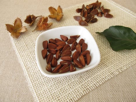 Shelled beech nuts in a small bowl