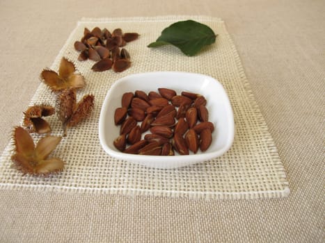 Shelled beech nuts in a small bowl