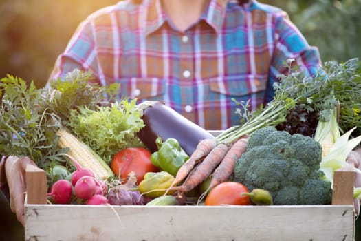 Farmer woman holding wooden box full of fresh raw vegetables. Growing organic food concept