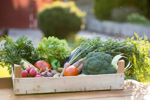 Fresh bio vegetable in a wooden box. The concept of healthy food.