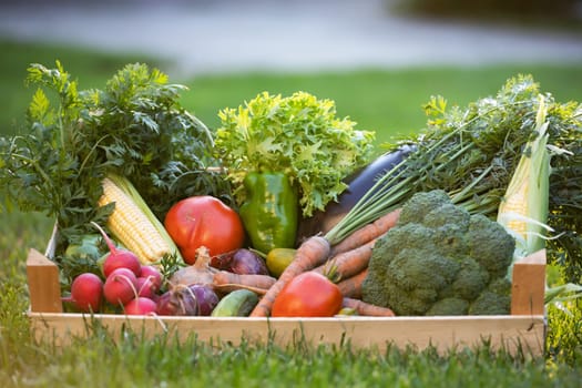 Fresh bio vegetable in a wooden box. The concept of healthy food.
