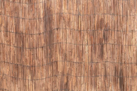 The reed wall background texture. Looks like bamboo. Close up