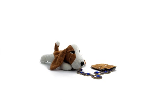 the nice toy dog wants to steal earrings