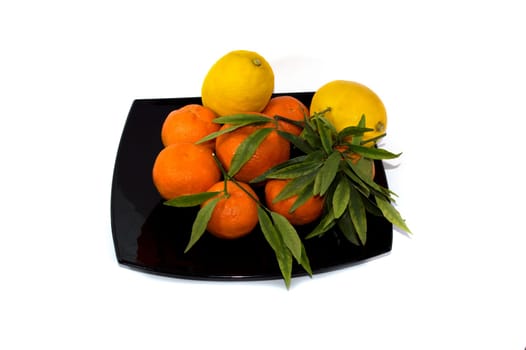 tangerines with a lemon beautifully spread out on a big black plate