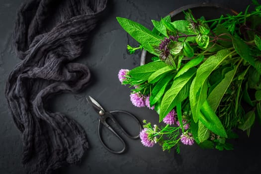 Fresh herbs with garden scissors on black kitchen table