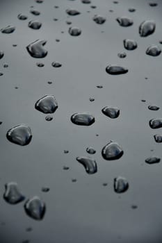 rain drops on a car engine hood