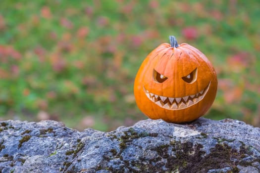 Big scary smiling halloween pumpkin with demon smile sitting alone in twilight nature. Spooky nightmare mystery scene at ocober 31st.