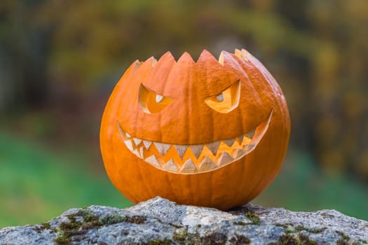 Big scary smiling halloween pumpkin with demon smile sitting alone in twilight nature. Spooky nightmare mystery scene at ocober 31st.