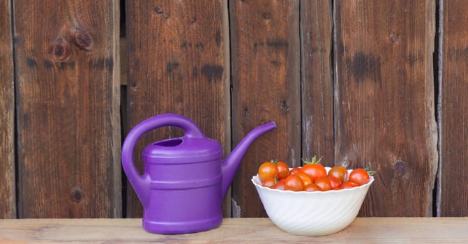 Gardening fresh and juicy vegetables from farming agriculture. Organic nature solanum bio tomato food on wooden copyspace panorama.