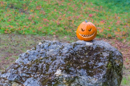 Big scary smiling halloween pumpkin with demon smile sitting alone in twilight nature. Spooky nightmare mystery scene at ocober 31st.