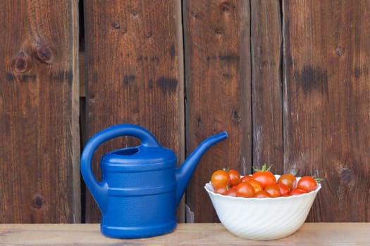 Gardening fresh and juicy vegetables from farming agriculture. Organic nature solanum bio tomato food on wooden copyspace background.