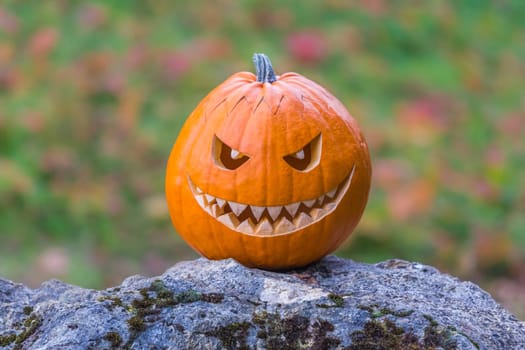 Big scary smiling halloween pumpkin with demon smile sitting alone in twilight nature. Spooky nightmare mystery scene at ocober 31st.