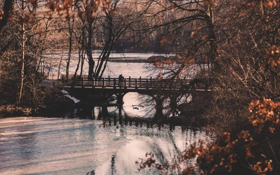 Beautiful Fall colors at Oak Bridge ,Bank Rock bay, Central Park, New York City, USA