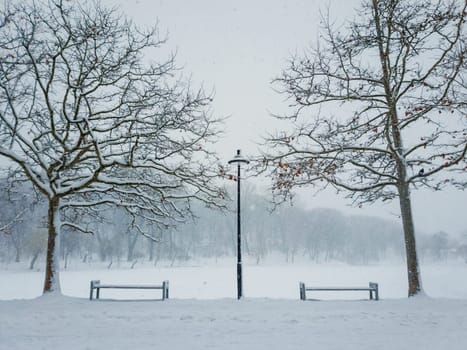 Snowy winter morning in the city park. Bare trees, street lamp and benches covered with snow. Calm seasonal scene, cold air atmosphere and snowfall in the square. Silent and peaceful view