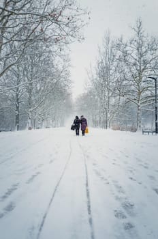 Two middle age women carrying pouches walks through the snowfall alongside the alley in the winter park. Wonderful snowing scene on the street. Cold season beauty. Blizzard in the city square