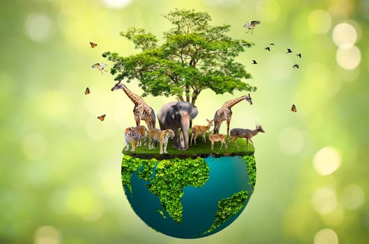 Concept Nature reserve conserve Wildlife reserve tiger Deer Global warming Food Loaf Ecology Human hands protecting the wild and wild animals tigers deer, trees in the hands green background Sun light