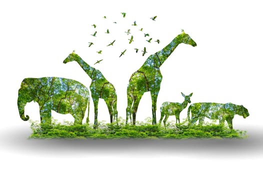 forest silhouette in the shape of a wild animal wildlife and forest conservation concept