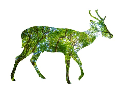 World Wildlife Day forest silhouette in the shape of a wild animal wildlife and forest conservation concept