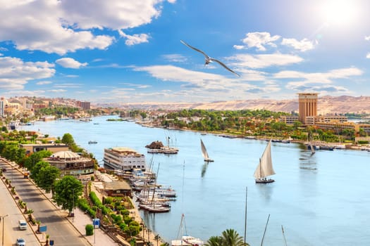 Aswan downtown, panoramic view on the Nile, Egypt.